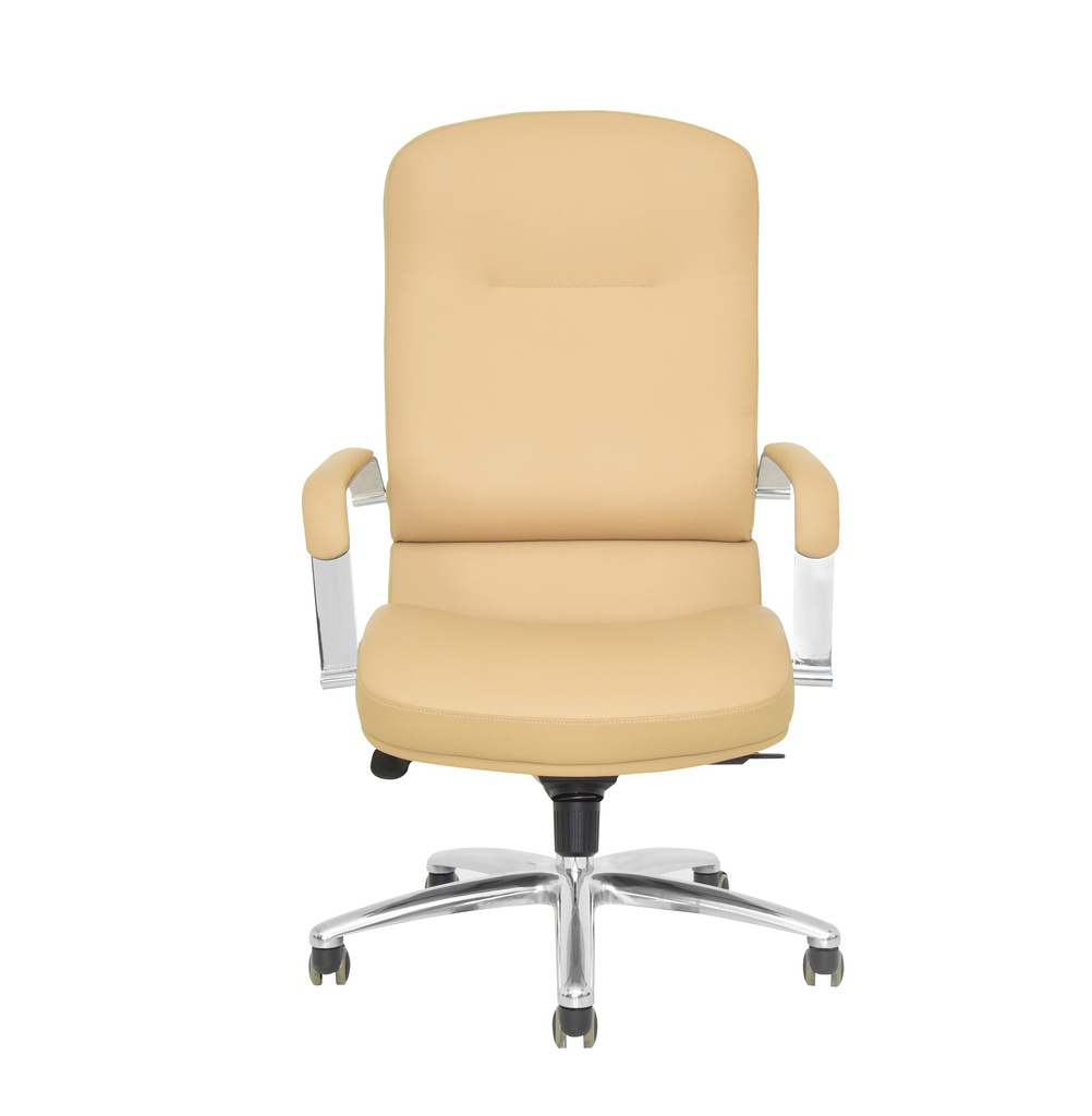 Executive Office Chair