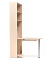 Bookcase/Bookshelf