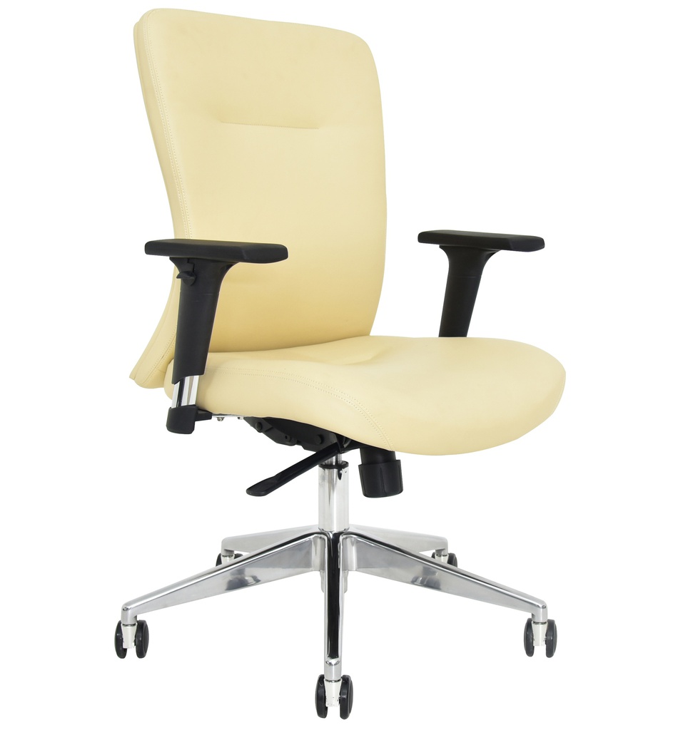 Executive Office Chair