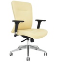 Executive Office Chair