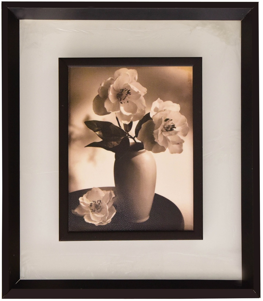 Frame