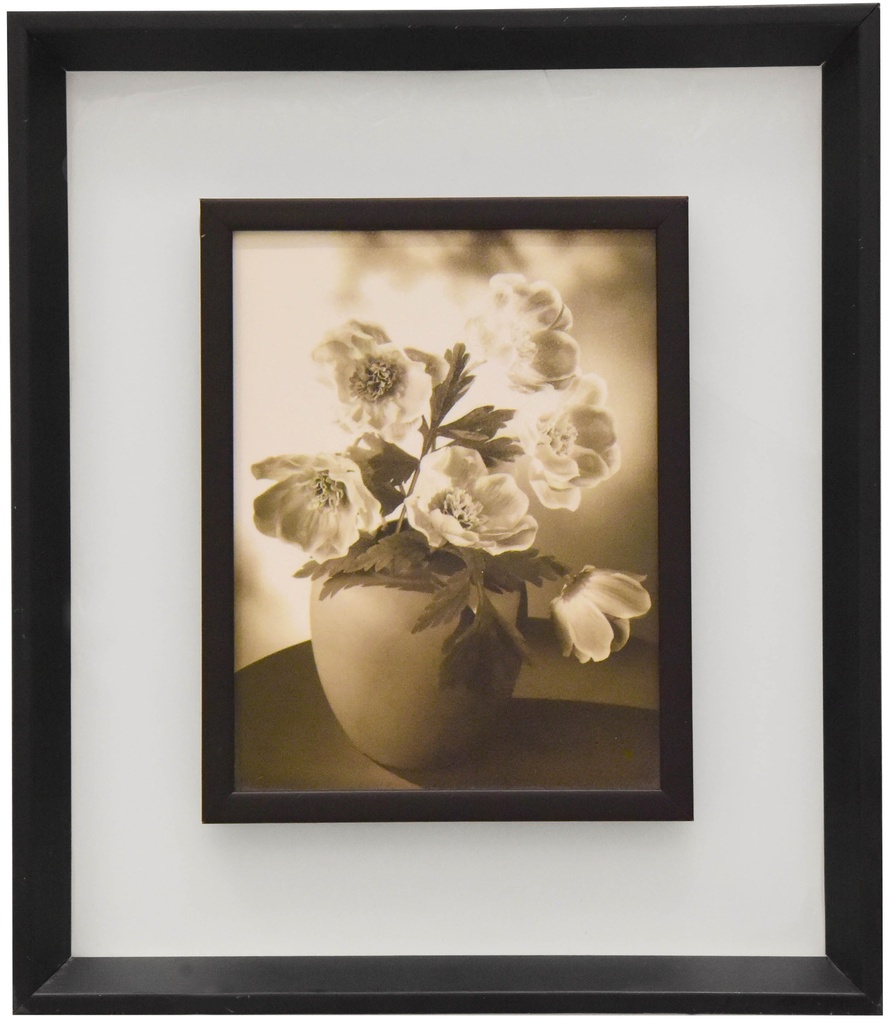 Frame