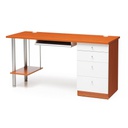 Home/Ofiice Desk