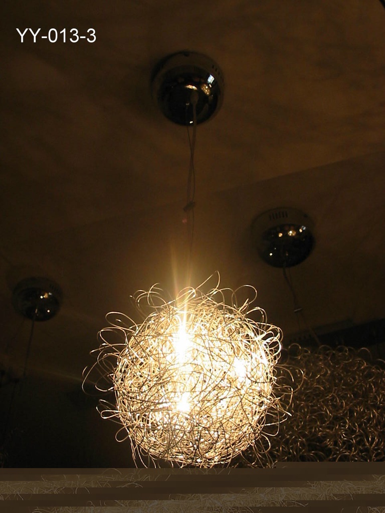 Ceiling Light