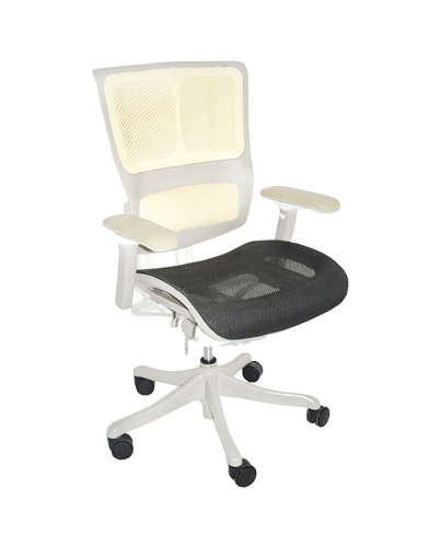 Executive Office Chair