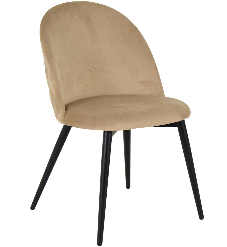 Cafe Chairs 