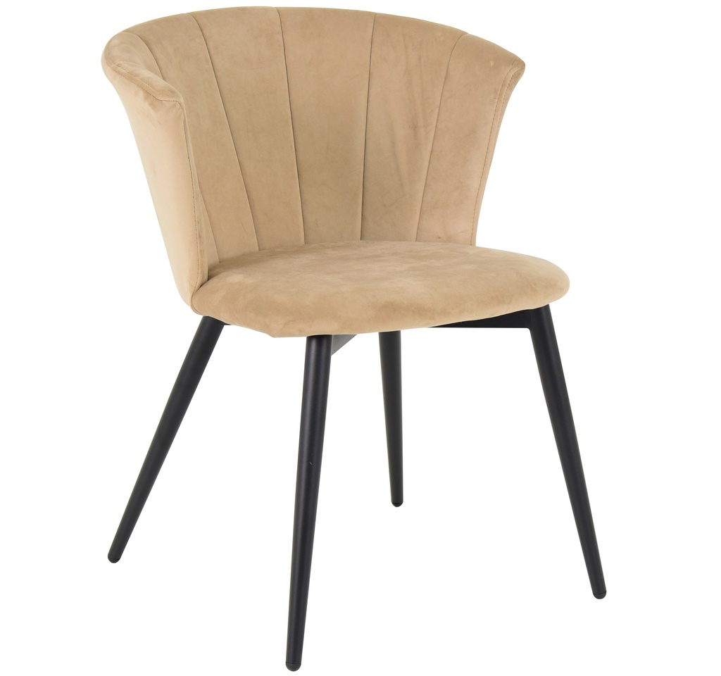 Cafe Chairs 