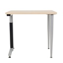 Workstation Extension