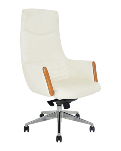 Executive Office Chair