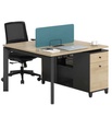 2 Seat Workstation