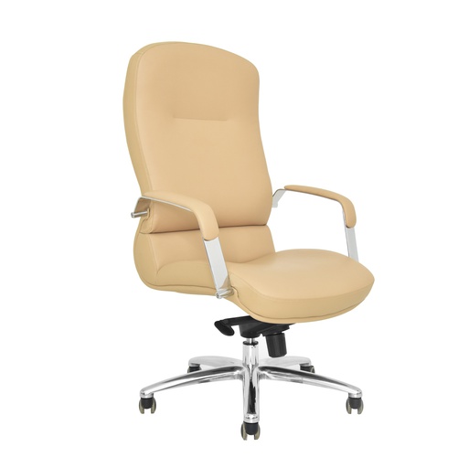 Executive Office Chair