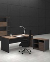 Executive desk 