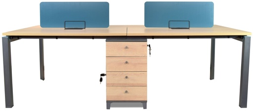 [1364798] 4 Staff Workstation