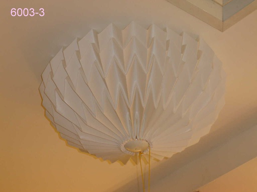 [1024746] Ceiling Light