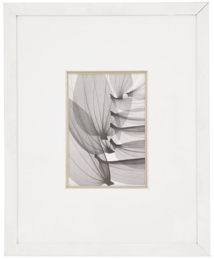 [1055054] Frame