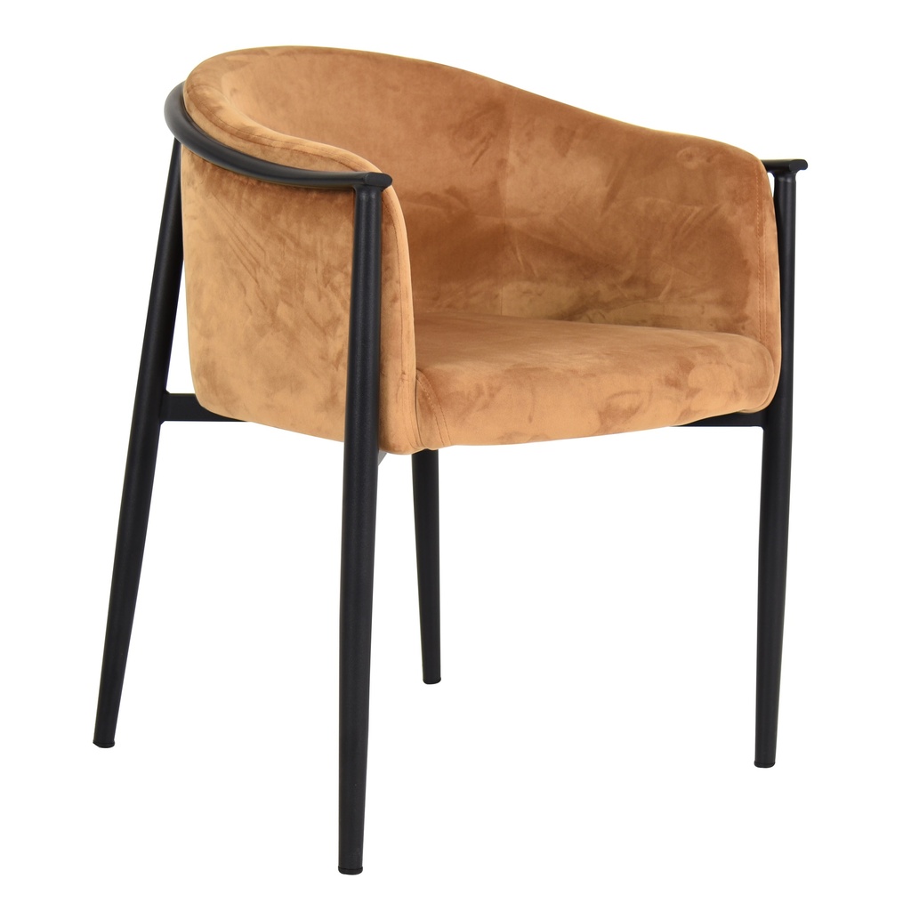 Cafe Chairs 