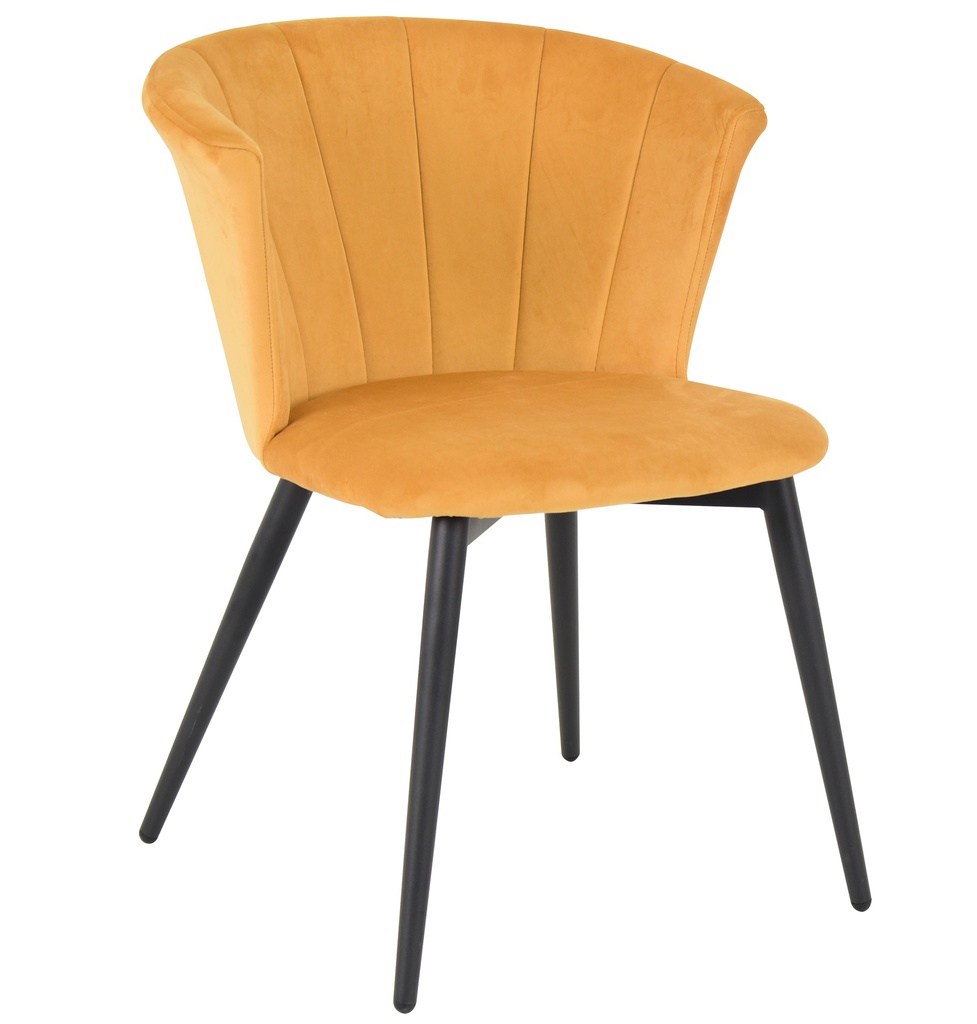 Cafe Chairs 