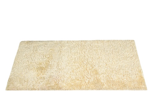 [1011807] Rug