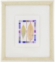Frame