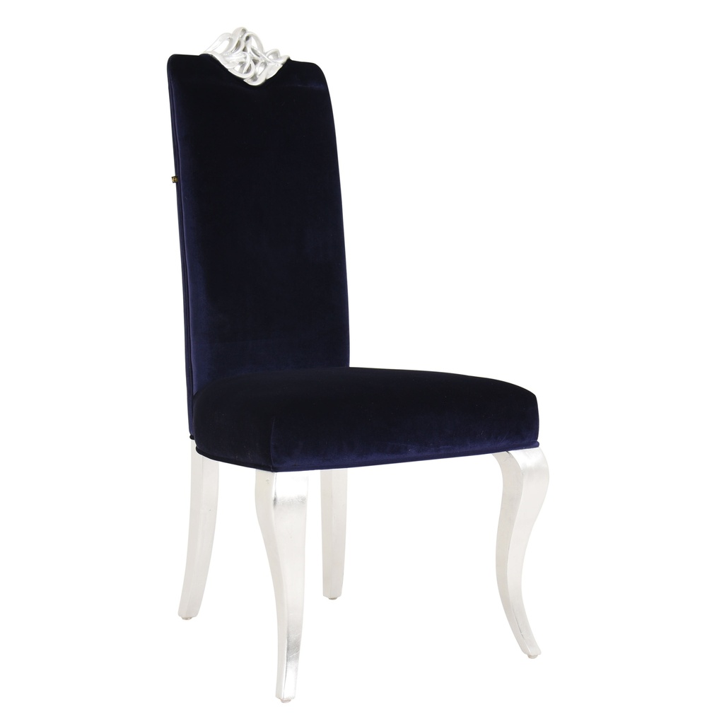 Leisure Chair
